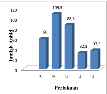 Gambar 1. Grafik hasil pengamatan rata-rata dari  jumlah aphid pertanaman 