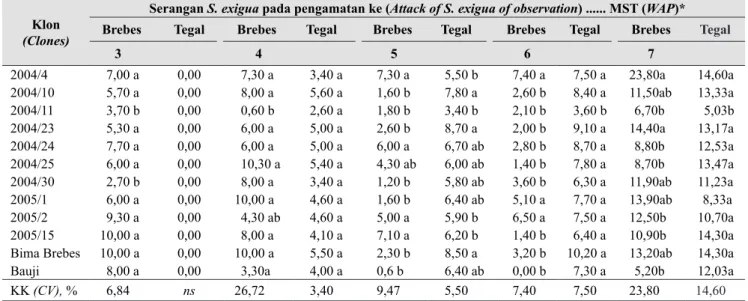 Tabel 3.   Intensitas serangan S. exigua pada klon bawang merah yang diuji di Brebes dan Tegal (Intensity  of S