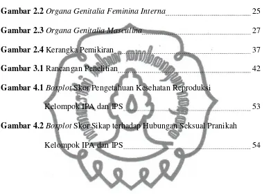 Gambar 2.2 Organa Genitalia Feminina Interna 