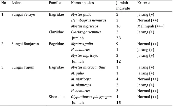 Tabel  2.    Spesies,  jumlah,  dan  kriteria  kelimpahan  ikan  Siluriformes  di    Sungai  Serayu,  Banjaran  dan  Tajum Kabupaten Banyumas 