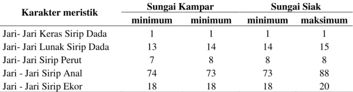Tabel  2.  Karakter  meristik  dari  ikan  selais  Ompok  sp  yang  ditangkap  di  Sungai  Kampar dan Sungai Siak, Riau 