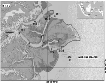 Gambar 1. Lokasi stasiun penangkapan ikan di estuari Sungai Indradiri, 2011 Figure 1. Map showing sampling site in Indragiri estuarine waters, 2011 Ikan yang tertangkap diukur panjang dan berat