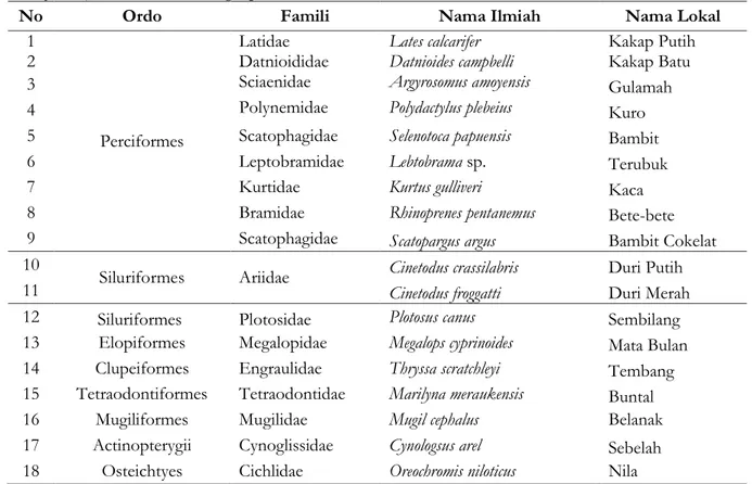 Tabel 1. Jenis-jenis ikan Hasil Tangkapan  