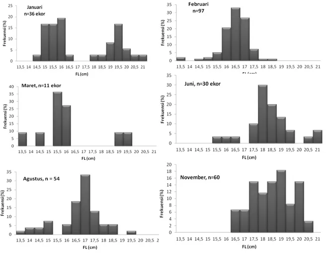 Gambar 3. Sebaran Panjang Cagak Ikan bentong di PP Kwandang tahun 2012. Figure 3. Fork Length distribution of bigeye scad in PP Kwandang in 2012.