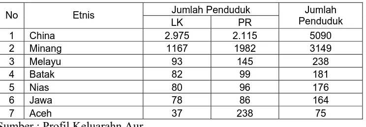 Tabel 5. Jumlah Etnis Penduduk Kelurahan Aur  