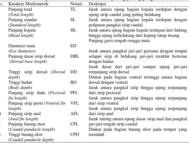 Tabel 1. Deskripsi karakter morfometrik ikan julung-julung yang diukur 