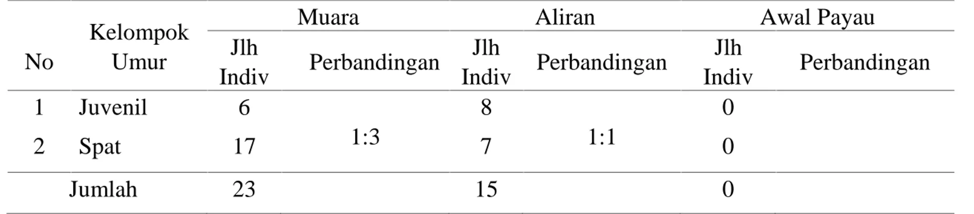 Tabel 1. Komposisi Juvenil dan Spat di Perairan Sungai Reuleung Leupung