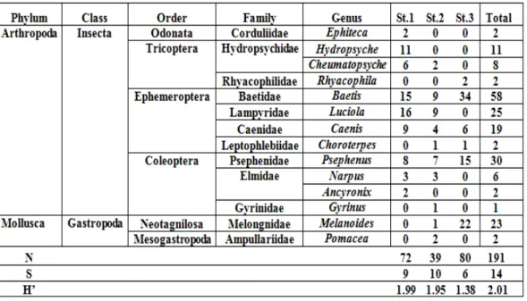 Tabel 2. Kelimpahan, Kekayaan dan Keanekaragaman makrozoobentos di sungai   Talawaan 