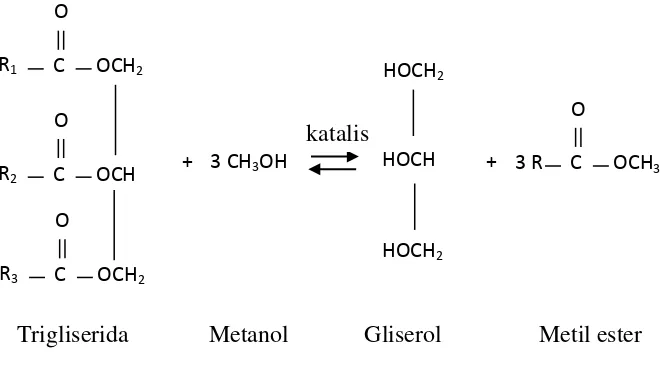 Gambar 4. Reaksi Transesterifikasi Trigliserida dengan Metanol 