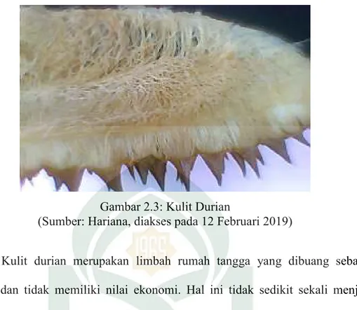 Gambar 2.3: Kulit Durian 