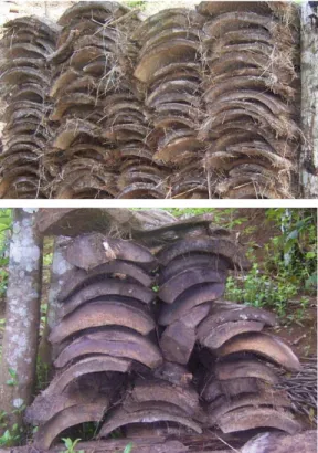 Gambar 1. Limbah kayu dari pohon aren 