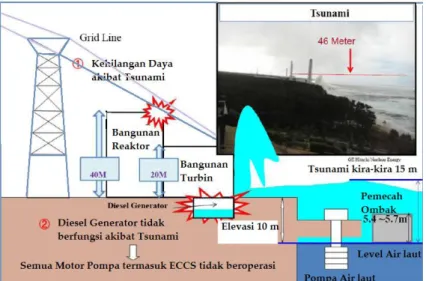 Gambar 2. Penyebab Kecelakaan PLTN Fukushima Daiichi [3]