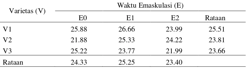 Tabel 3 Rataan Jumlah Tongkol (tongkol) pada perlakuan varietas, waktu emaskulasi dan Interaksi 