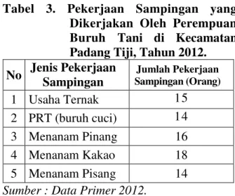 Tabel  3.  Pekerjaan  Sampingan  yang  Dikerjakan  Oleh  Perempuan  Buruh  Tani  di  Kecamatan  Padang Tiji, Tahun 2012