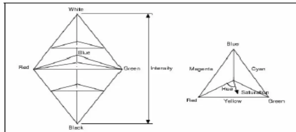 Gambar sebelah kiri merupakan bentuk solid HSI dan sebelah kananadalah model segitiga HSI yang merupakan bidang datar daripemotongan model solid HSI secara horisontal pada tingkat intensitastertentu
