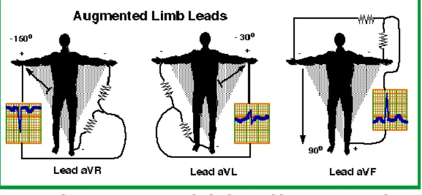 Gambar 2.  Augmented Limb Lead  (Penney, 2003) 