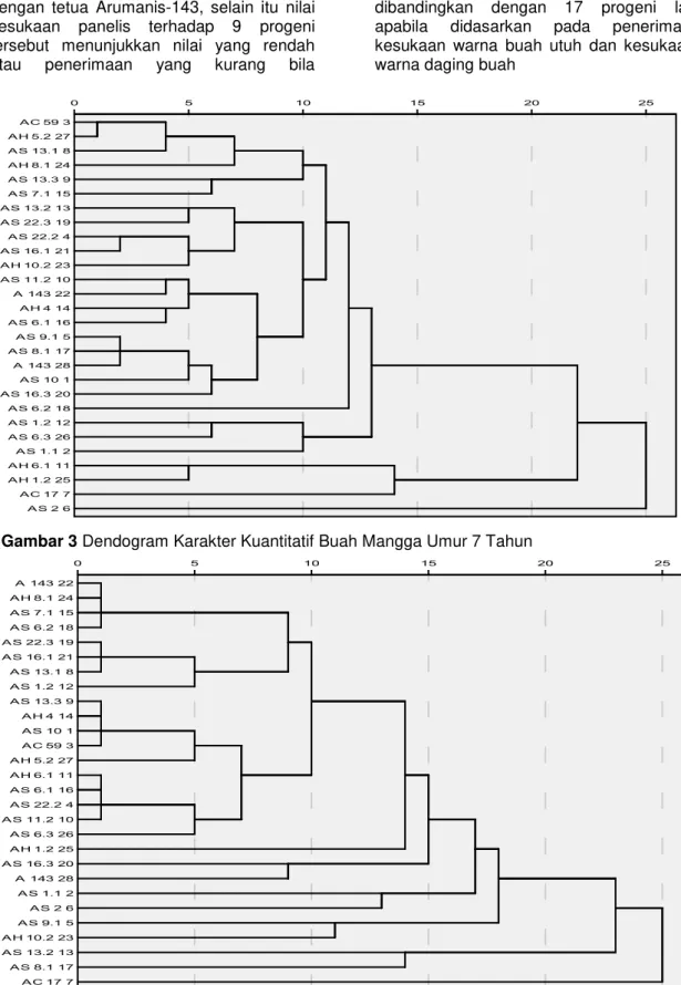 Gambar 3 Dendogram Karakter Kuantitatif Buah Mangga Umur 7 Tahun  