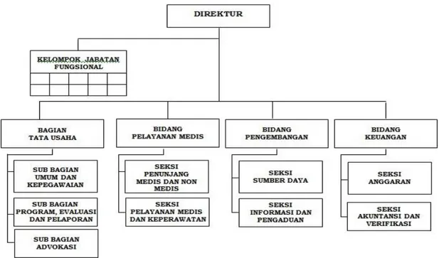 Gambar 1.4 1 Struktur Organisasi di RSUD Sele Be Solu Kota Sorong 