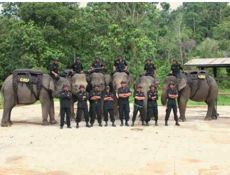 Gambar 4. Pendidikan lingkungan dengan menggunakan gajah, seperti di Tangkahan TN Gunung Leuser (Foto kredit: FFI-SECP)