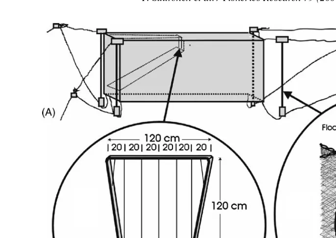 Fig. 4. The design principle and operation of the ﬁsh bag of a pipe-trap (model C). The large ﬁsh bag with the four anchor-pipes in the corners (A), the wire-gridinstalled in the funnel of ﬁsh bag (B), and the operation of an anchor-pipe that is holding the tension in the netting (C).