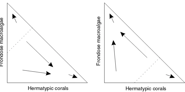 Fig. 5. State space of percent cover showing tendency for increasing coral or macroalgal cover over time, depending on starting ratio.The space is triangular because the two groups cannot total more than 100% cover