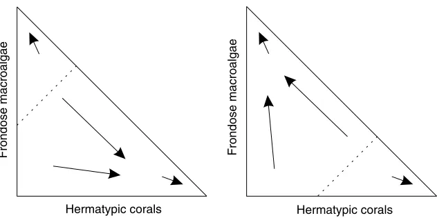 Fig. 5. State space of percent cover showing tendency for increasing coral or macroalgal cover over time, depending on starting ratio.The space is triangular because the two groups cannot total more than 100% cover