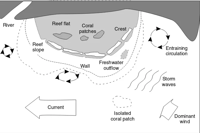 Fig. 6. Schematic of a fringing reef showing factors inﬂuencing spatially diﬀerential resilience.