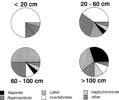 Figure 1. Diet composition, as percentage of wet mass, of four size classes of Nile perch from Lake Victoria be-tween 1988 and 1992