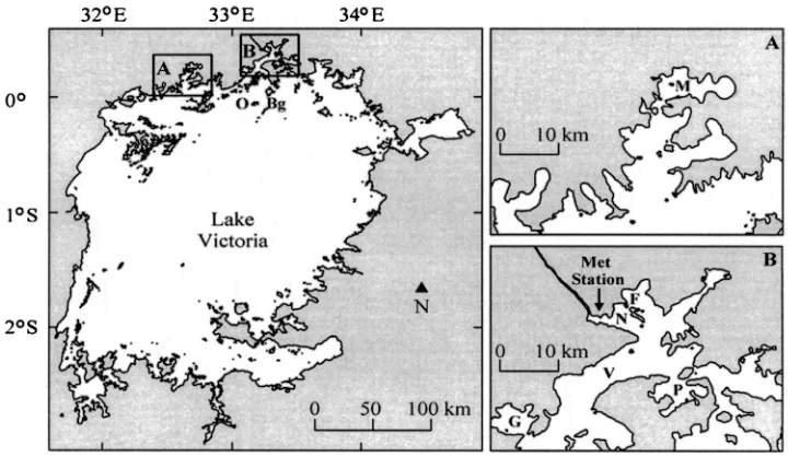 Fig. 1.Map of Lake Victoria shows the sampling location of A, Inner Murchison Bay (M),and sampling locations of B, Napoleon Gulf (N) and Fielding Bay (F), for this study