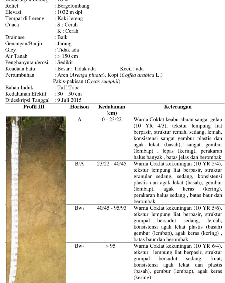 Gambar 4. Profil tanah di desa Sibaruang 