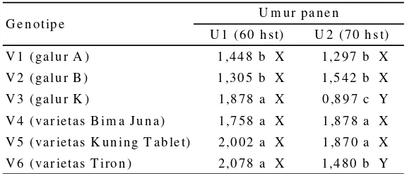 Tabel 4. Interaksi antara genotipe bawang merah dan saat panen pada variabel diameter umbi 