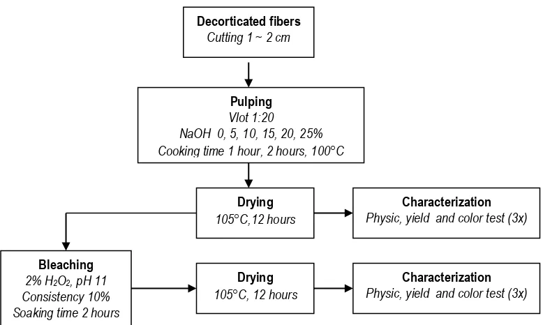Figure 2. Diagram of pulping and bleaching process of decorticated Pineapple leaf fiber 