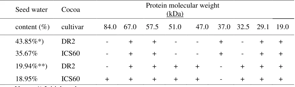 Table 2. DR2 and ICS60 seed protein from the electrophoresis bands, before and after desiccation treatment