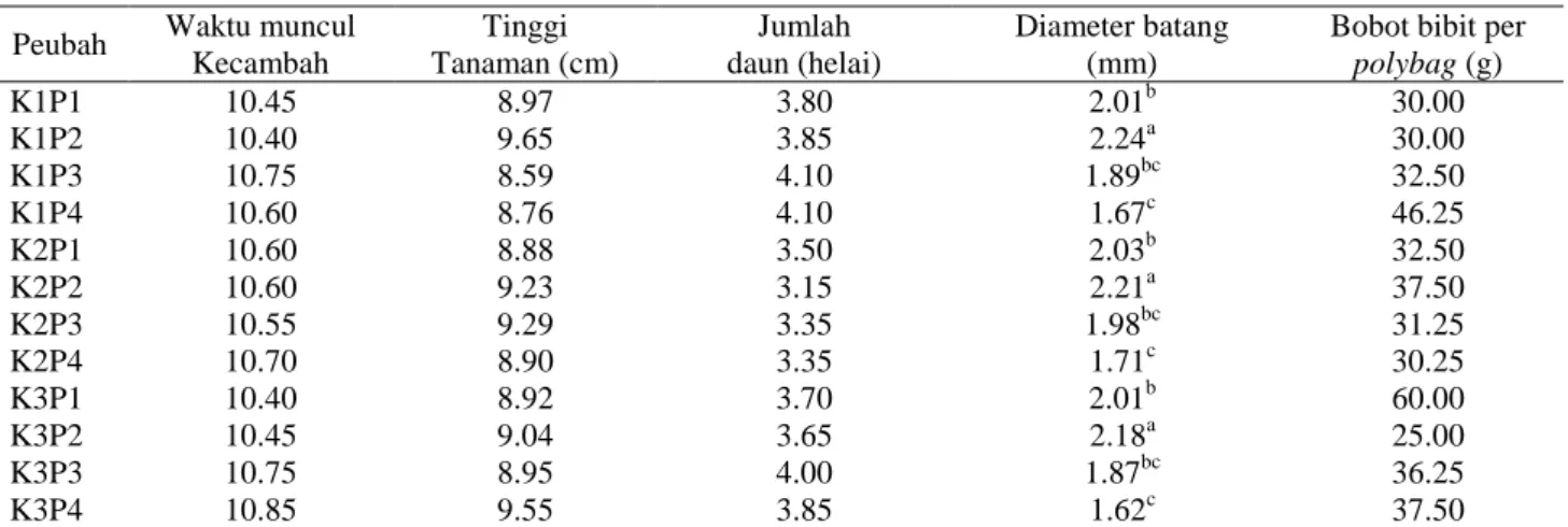 Tabel 4. Pertumbuhan bibit pepaya di polybag dan bobot bibit pepaya 4 MST 