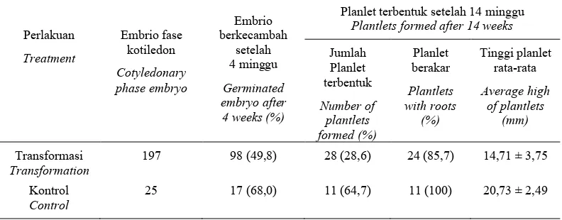 Table 4. Regeneration of plantlets from transformed SE on growth regulator- free medium after  14 week cultured