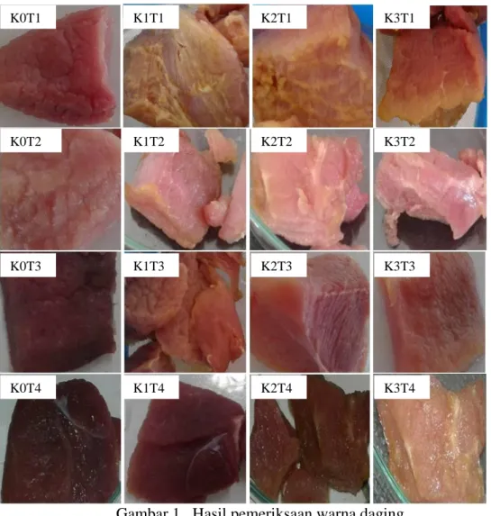 Gambar 1.  Hasil pemeriksaan warna daging 