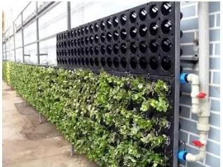 Gambar 10. Kerangka Taman Produktif (a) hidroponik (b) vertical garden.Tanaman yang dikembangkan dalam VGAS adalah tanaman produksi yang bersifat tanaman annual (semusim)