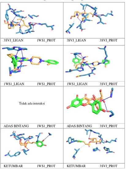 Gambar 1. Visualisasi Interaksi Antara Ligan dan Protein Target 