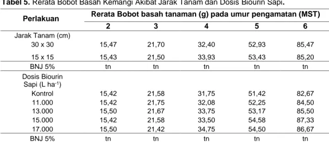 Tabel 5. Rerata Bobot Basah Kemangi Akibat Jarak Tanam dan Dosis Biourin Sapi. 