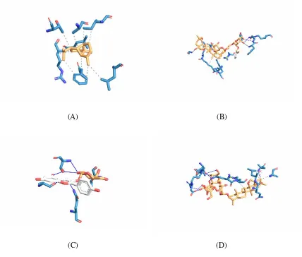 Gambar 1. Interaksi ligan native. Gambar (A) merupakan hasil 5IBE-5IBE, (B) merupakan 5IBD-5IBE, dan (C) merupakan 5IBD-5IBD 