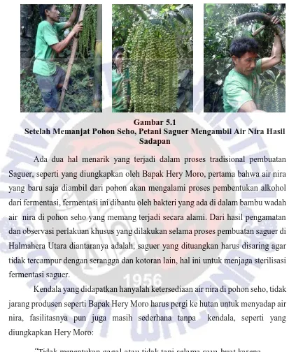 Gambar 5.1 Setelah Memanjat Pohon Seho, Petani Saguer Mengambil Air Nira Hasil 