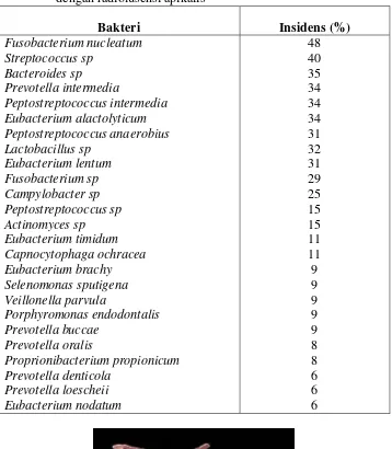 Tabel 1. Kultur dan identifikasi bakteri dari saluran akar gigi  dengan radiolusensi apikalis 