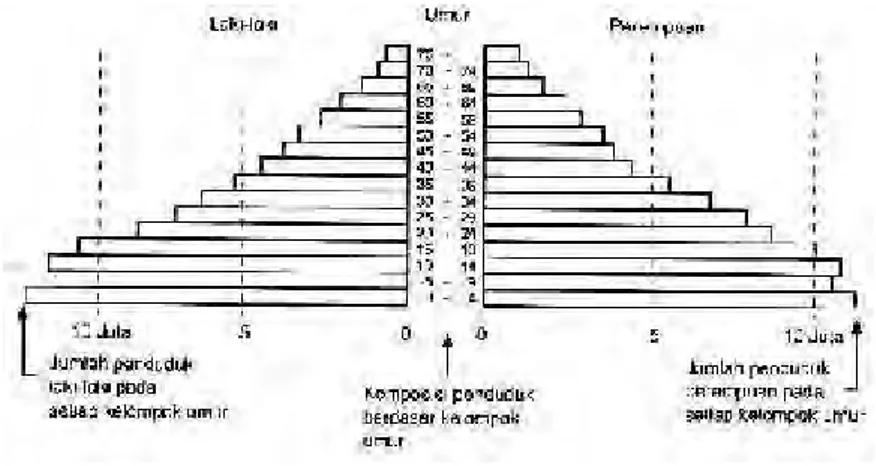 Gambar 2.3 Piramida Penduduk