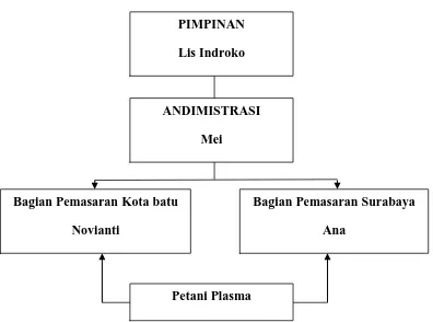 Gambar 2. Struktur Organisasi Perusahaan 
