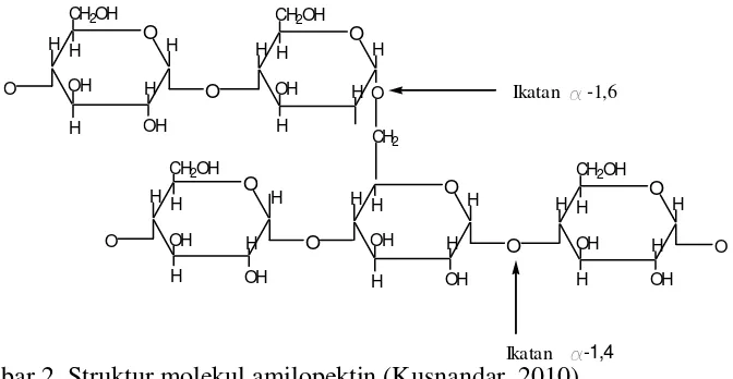 Gambar 1. Struktur rantai linier dari molekul amilosa (Kusnandar, 2010) 