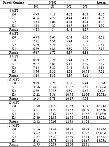 Tabel 3.Rataan tinggi bibit (cm) pada berbagai perlakuan Pupuk kandang kelinci dan pupuk NPK (16:16:16) umur 4-14 MST