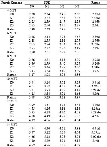 Tabel 4.Rataan diameter batang (mm) pada berbagai perlakuan Pupuk kandang kelinci dan pupuk NPK (16:16:16) umur 4-14 MST