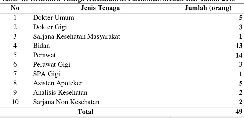 Tabel 4.1 Distribusi Tenaga Kesehatan di Puskesmas Medan Deli Tahun 2013 