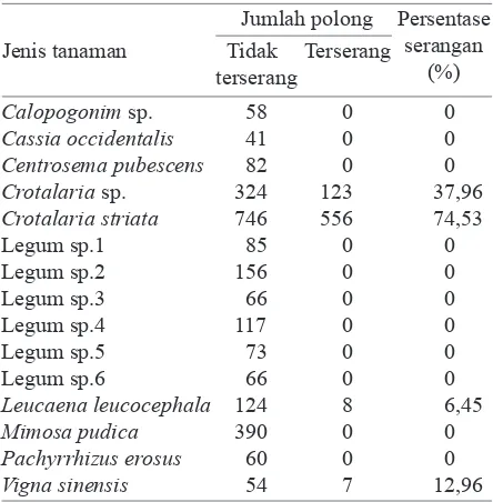 Tabel 1. Jenis tanaman legum yang diambil polongnya serta persentase serangan serangga herbivora pada masing-masing legum 