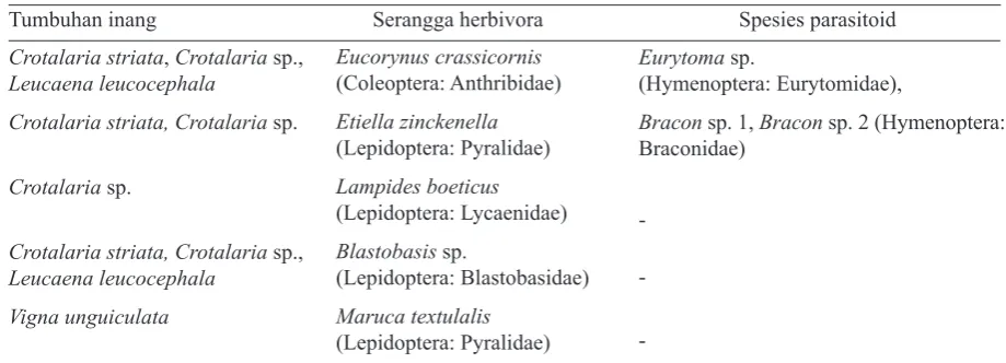Tabel 2. Berbagai jenis serangga herbivora penggerek polong dan parasitoidnya yang ditemukan pada berbagai jenis legum 